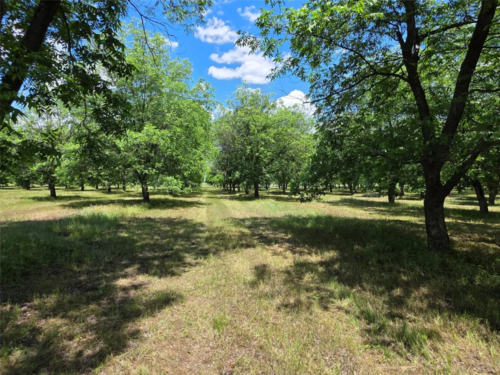 Cr 446 De Leon, TX 76444