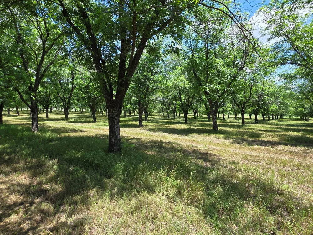 Cr 446 De Leon, TX 76444