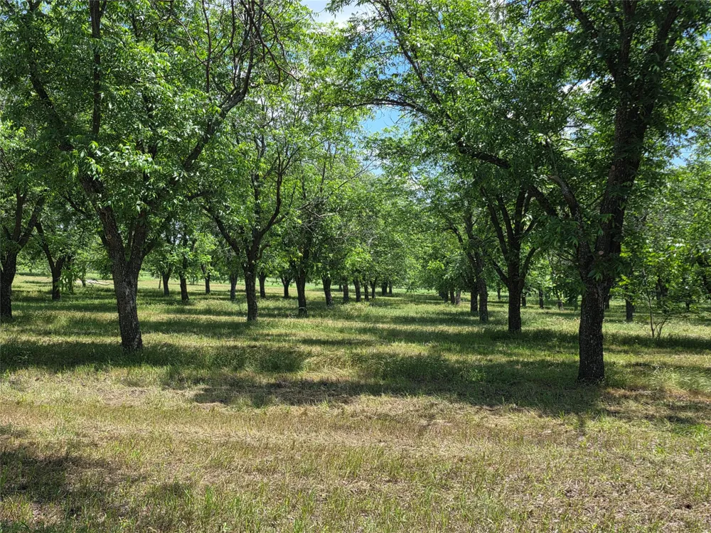 Cr 446 De Leon, TX 76444