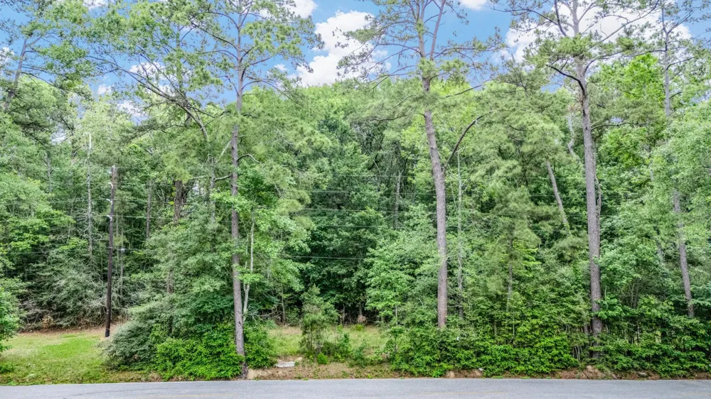 Hargraves Road Huffman, TX 77336
