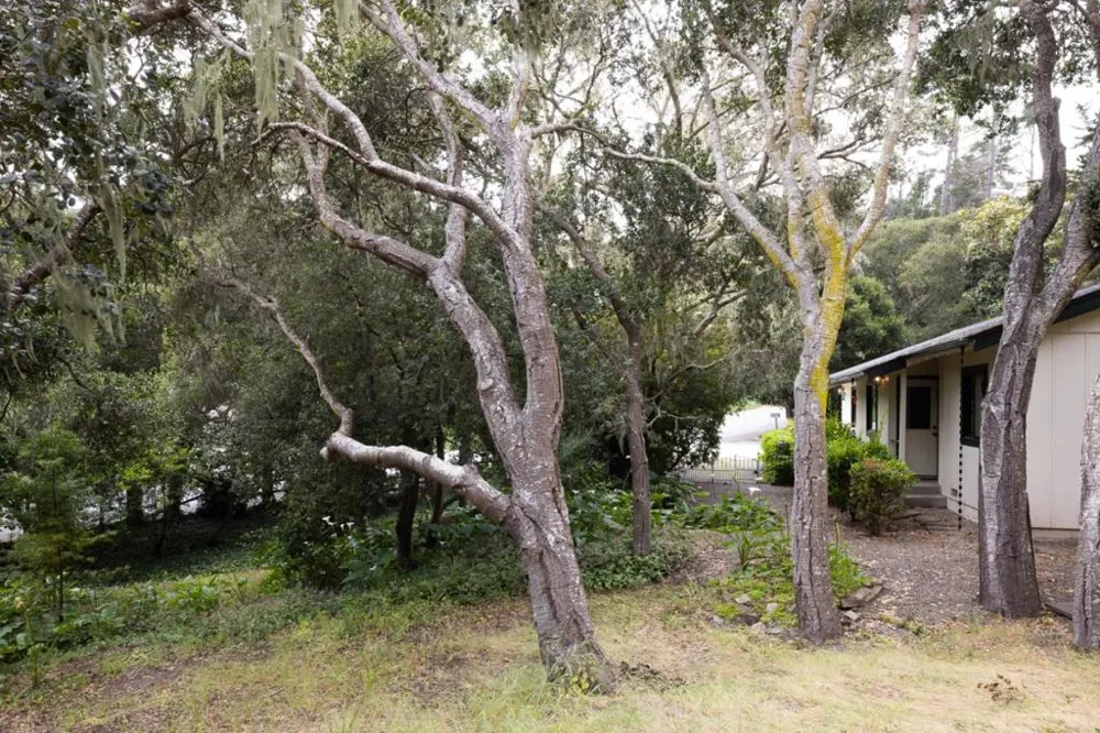 25315 Flanders Drive Carmel, CA 93923