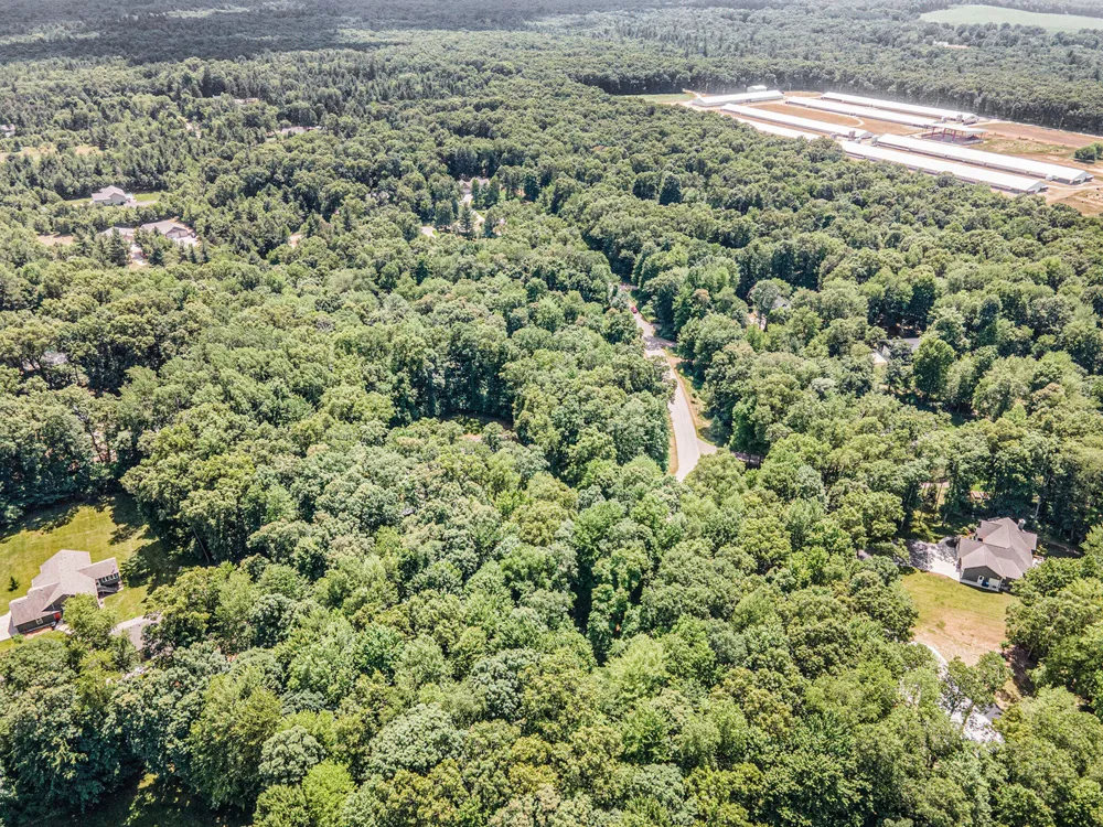 3479 Jeffrey Spur Hamilton, MI 49419
