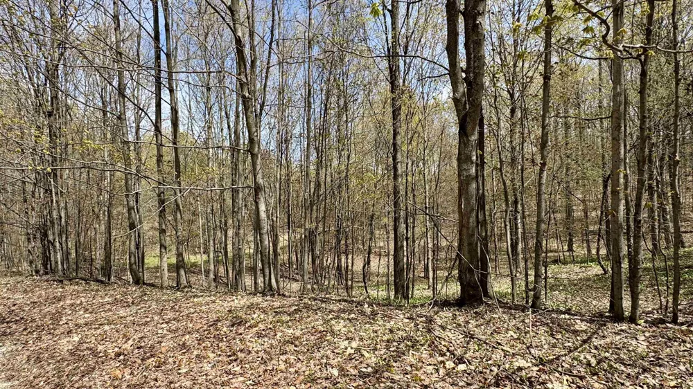 27 Mile Road Colfax Township, MI 49618