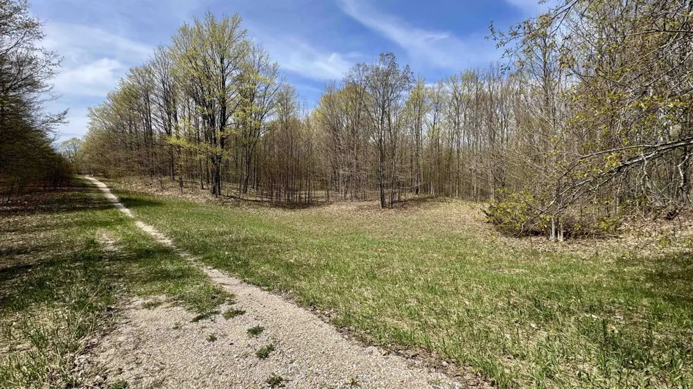 27 Mile Road Colfax Township, MI 49618