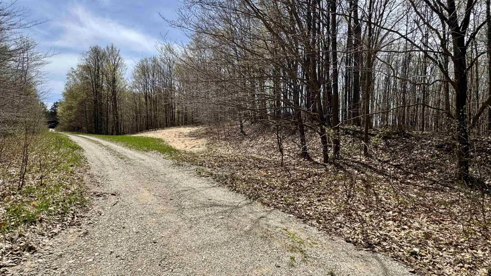 27 Mile Road Colfax Township, MI 49618