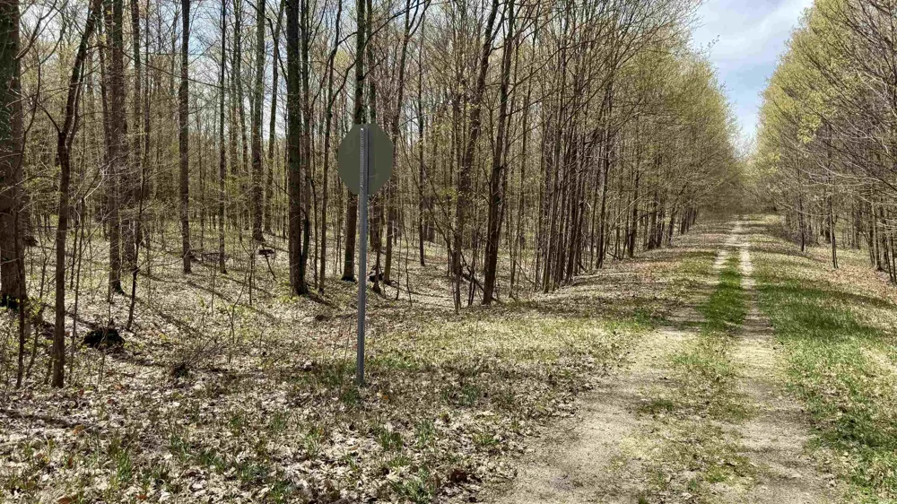 27 Mile Road Colfax Township, MI 49618