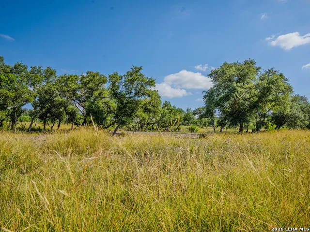 401 PR 2410 Hondo, TX 78861