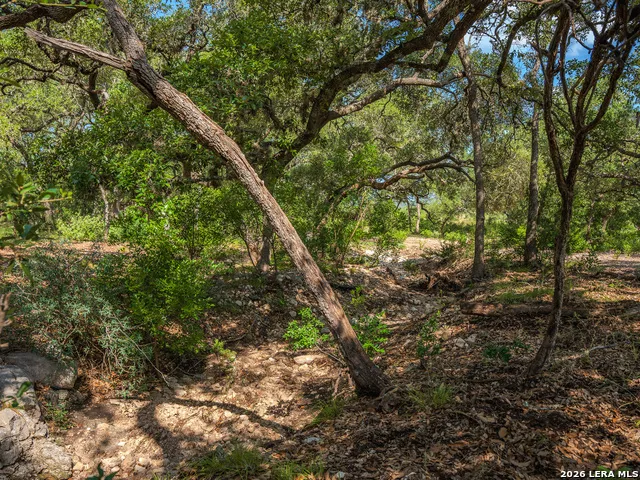 401 PR 2410 Hondo, TX 78861