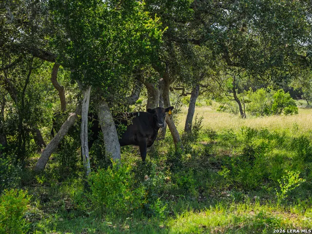 401 PR 2410 Hondo, TX 78861