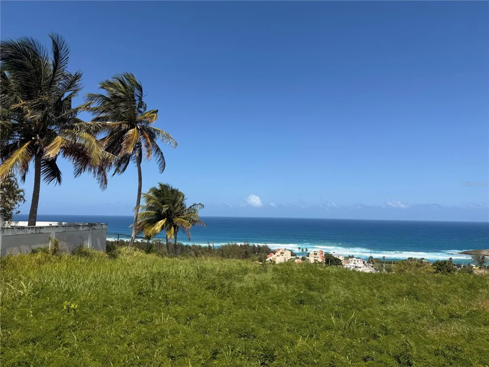 459 POZO DULCE Isabela, PR 00662