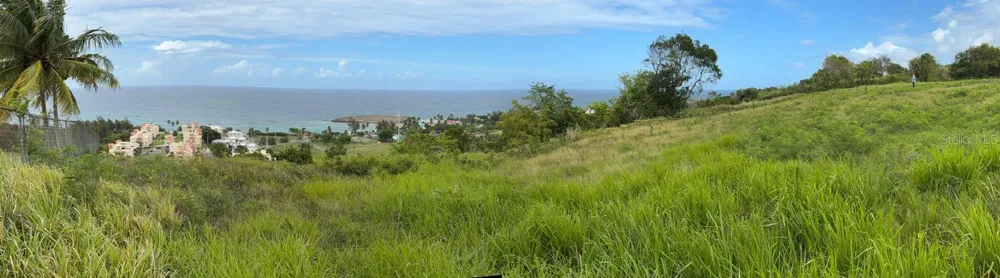 459 POZO DULCE Isabela, PR 00662
