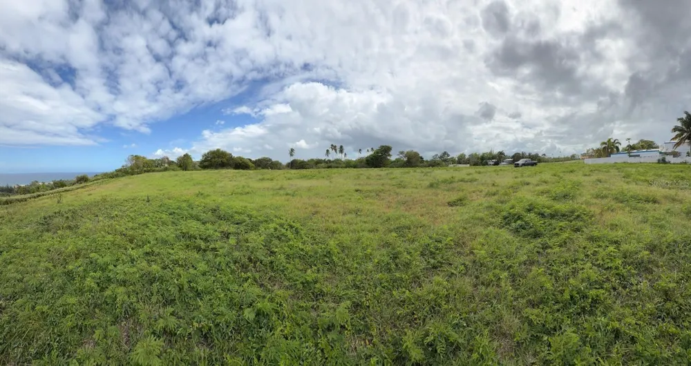 459 POZO DULCE Isabela, PR 00662