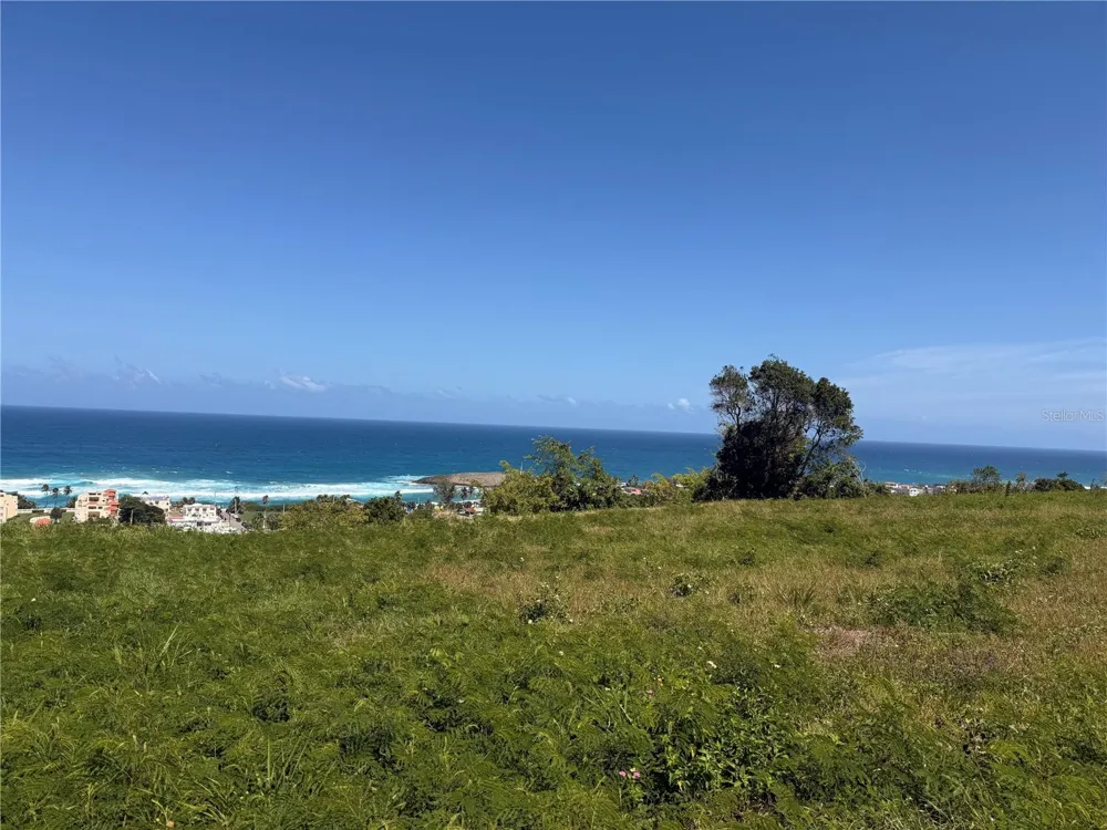 459 POZO DULCE Isabela, PR 00662