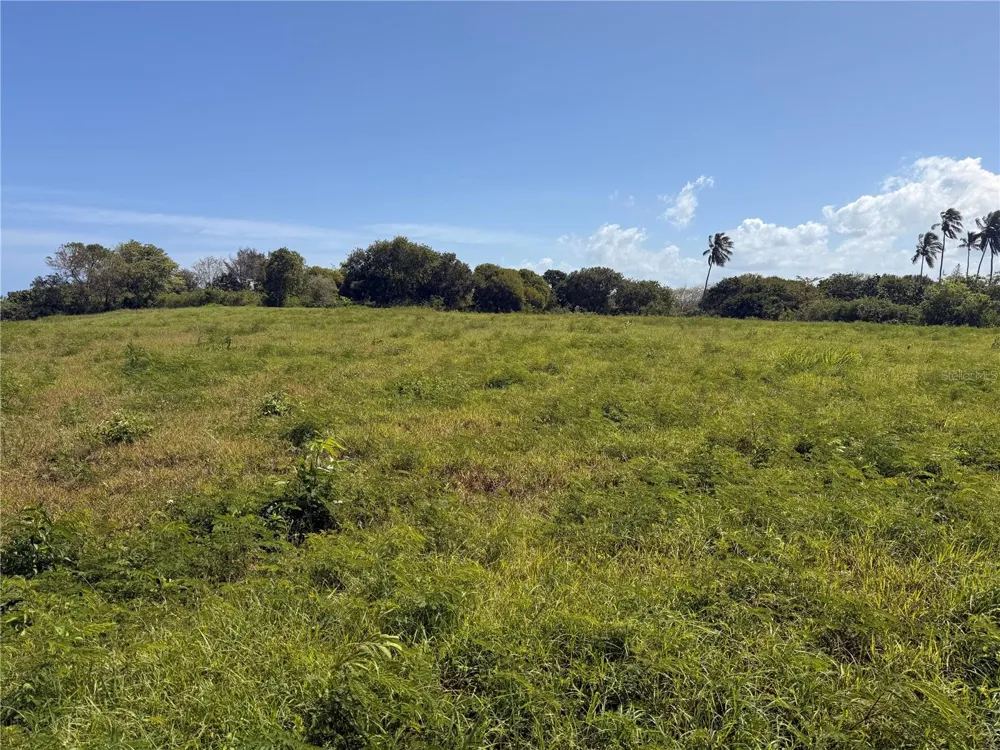 459 POZO DULCE Isabela, PR 00662