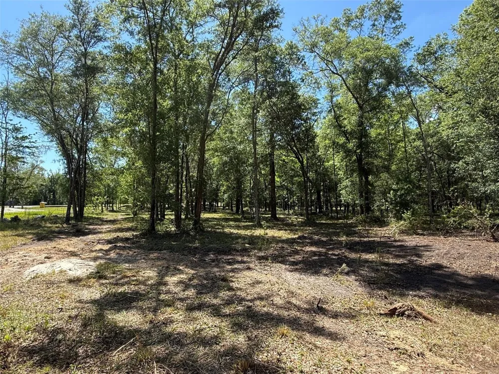 0 NW 145 AVENUE Williston, FL 32696