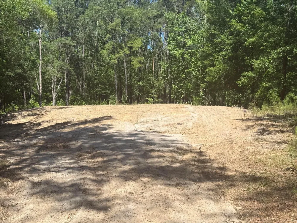0 NW 145 AVENUE Williston, FL 32696