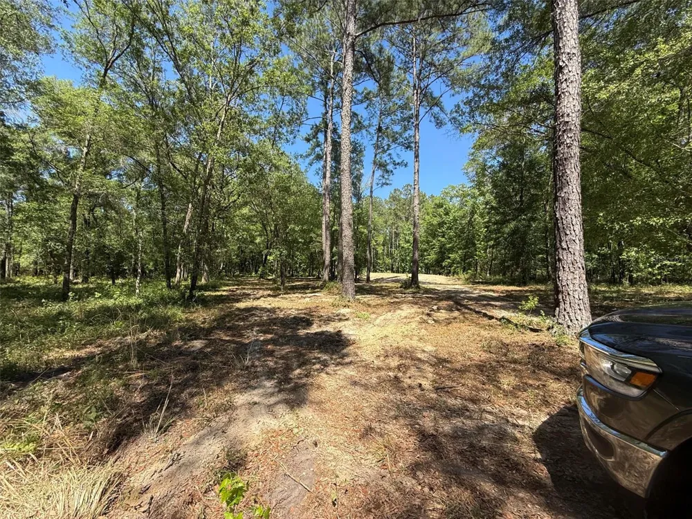 0 NW 145 AVENUE Williston, FL 32696