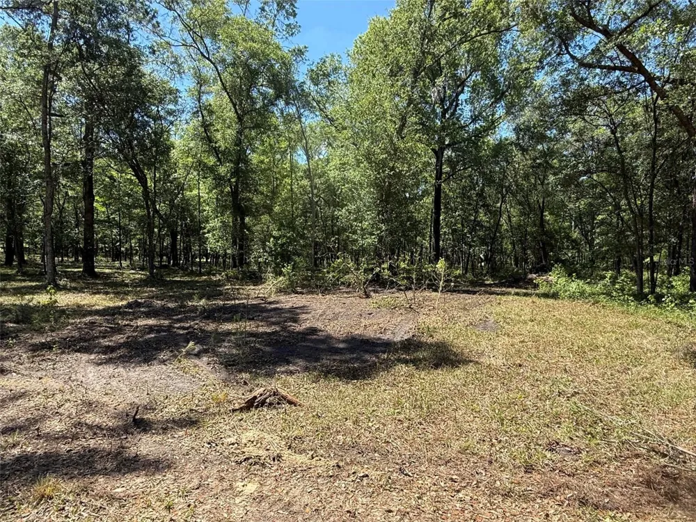 0 NW 145 AVENUE Williston, FL 32696