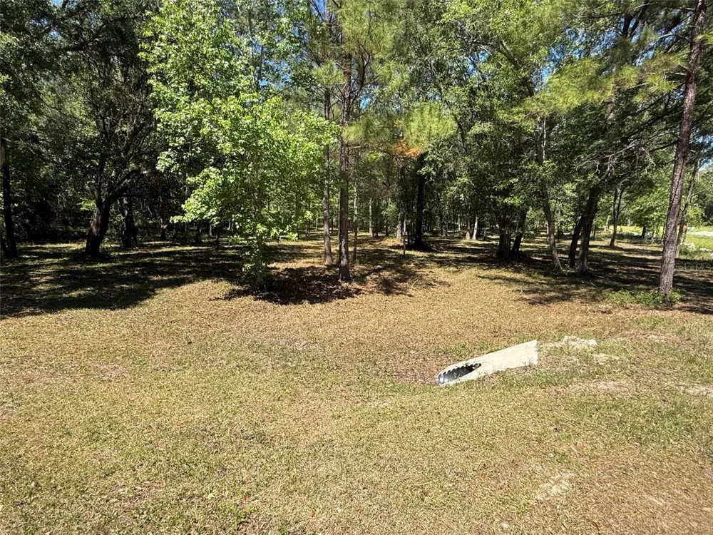 0 NW 145 AVENUE Williston, FL 32696