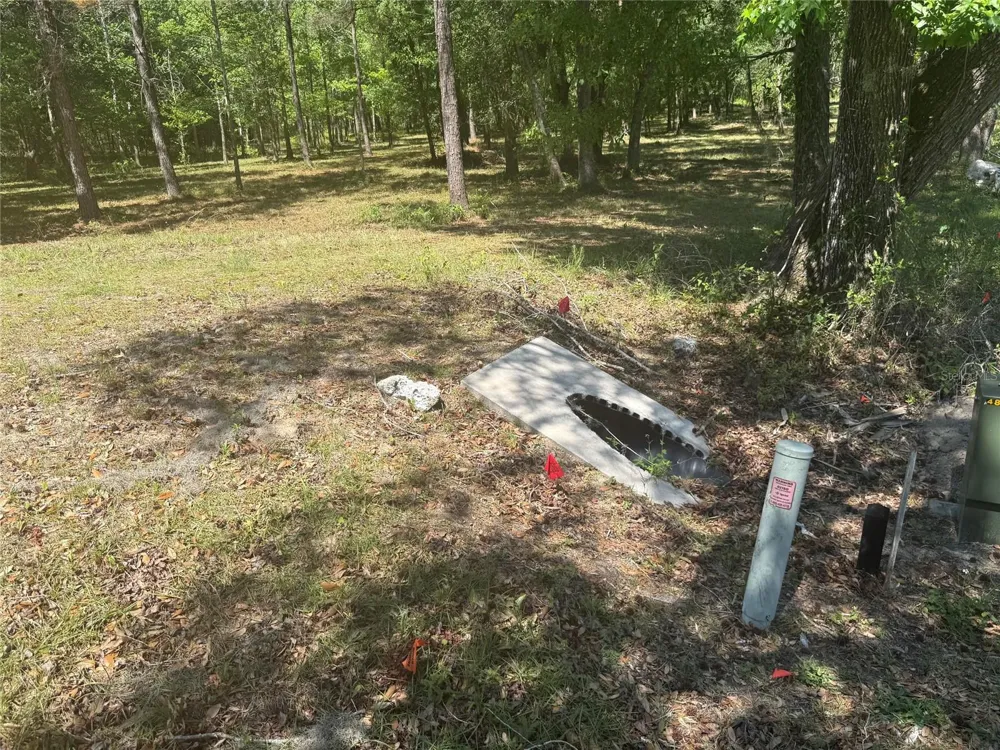 0 NW 145 AVENUE Williston, FL 32696