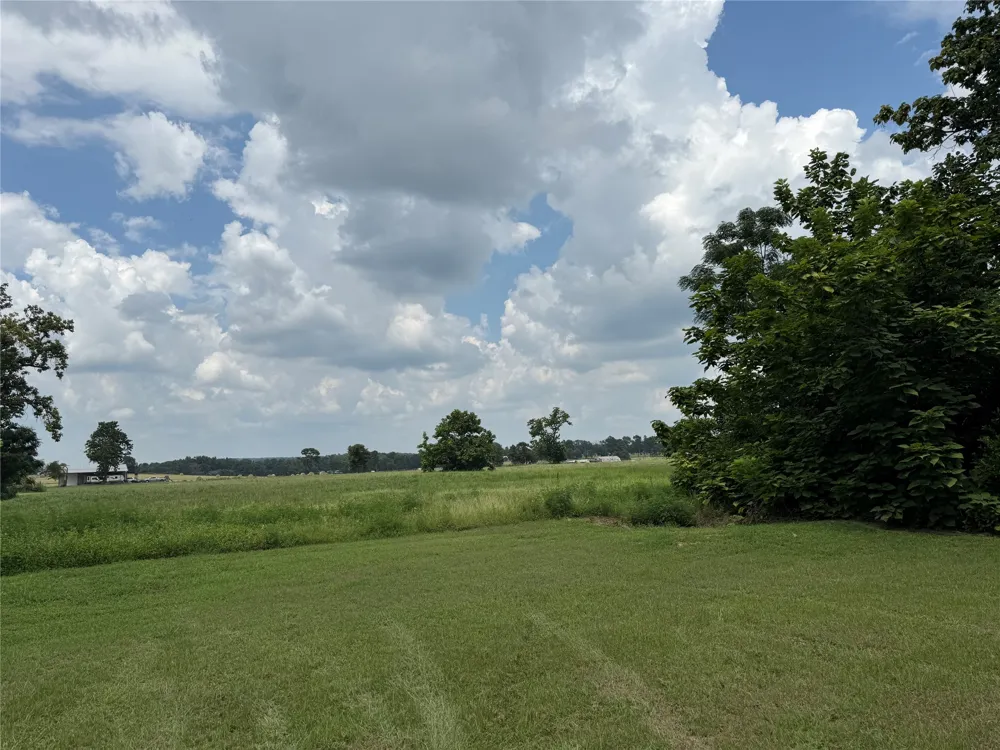 1014 Greenwood Street Winnsboro, TX 75494