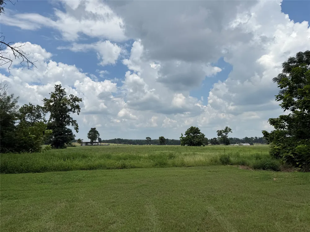 1014 Greenwood Street Winnsboro, TX 75494