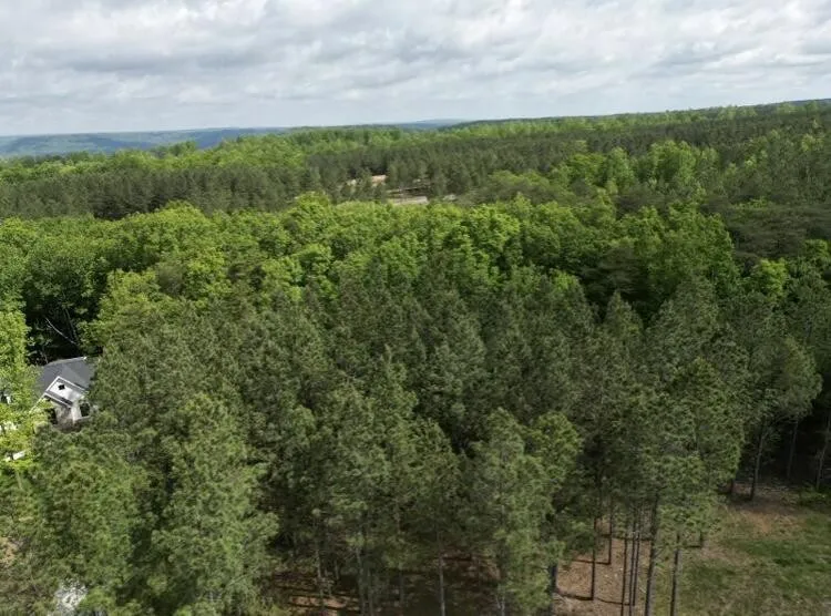 5140 Crockett Jasper, TN 37347