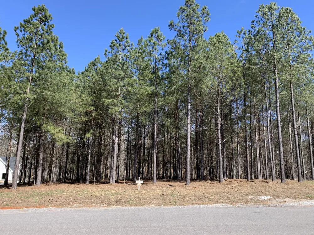 5140 Crockett Jasper, TN 37347