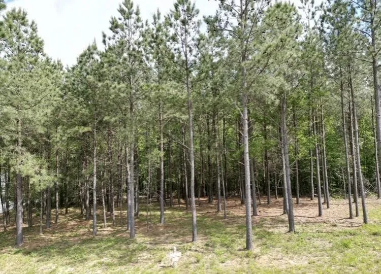 5140 Crockett Jasper, TN 37347