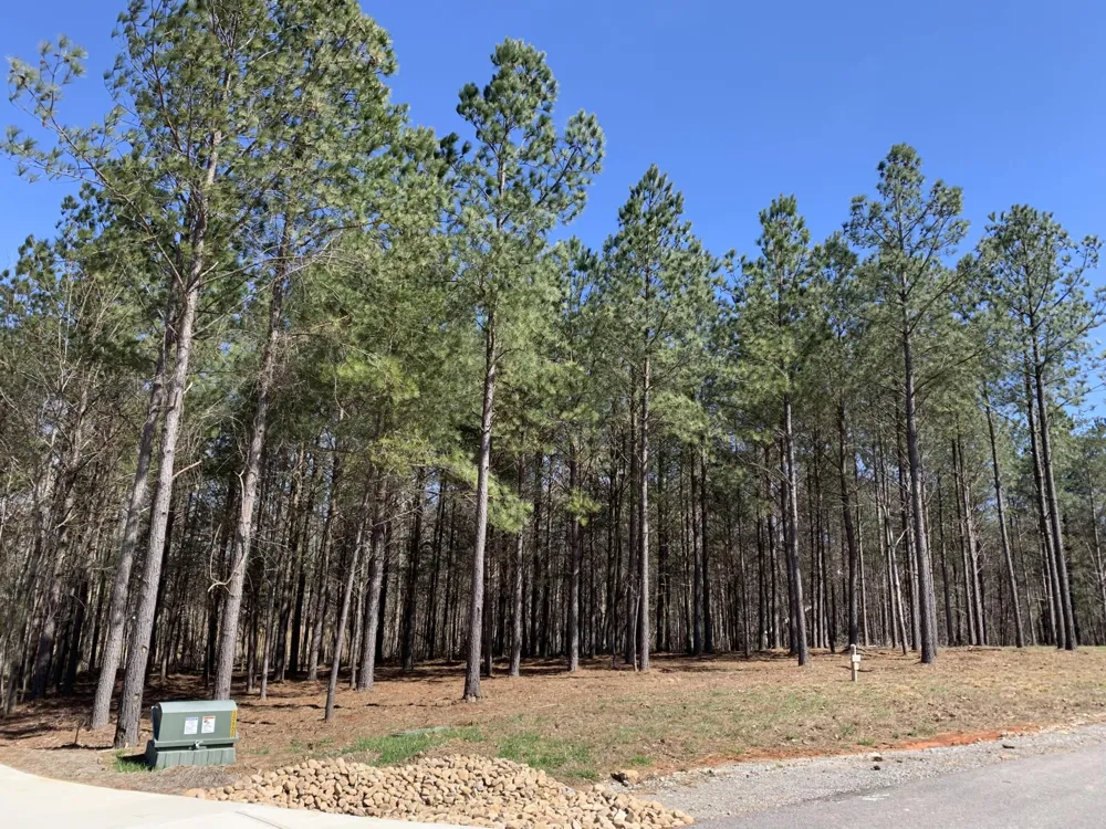 5140 Crockett Jasper, TN 37347