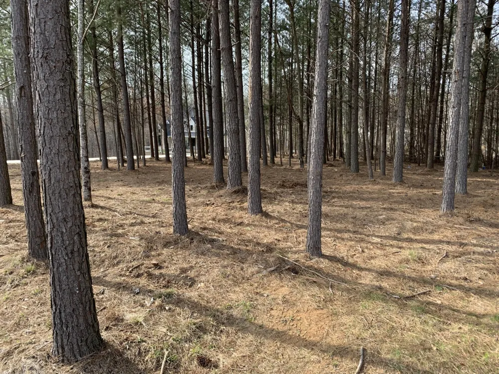 5140 Crockett Jasper, TN 37347