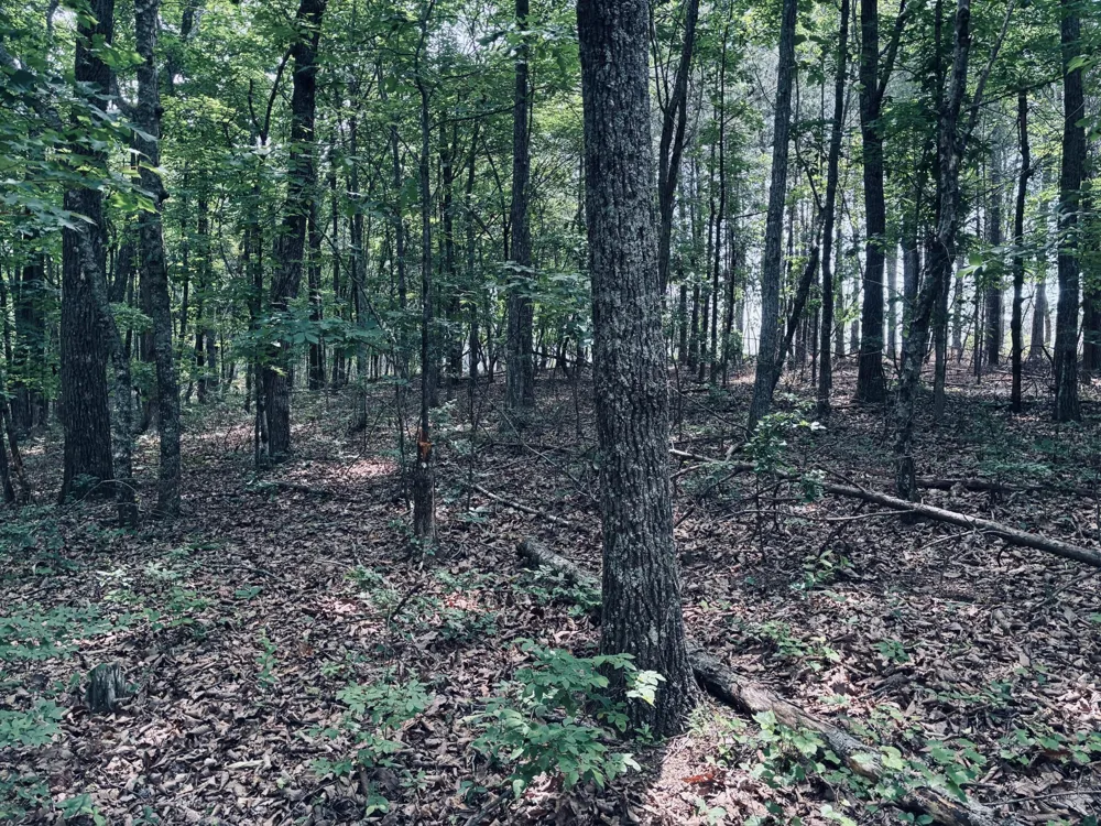 5140 Crockett Jasper, TN 37347