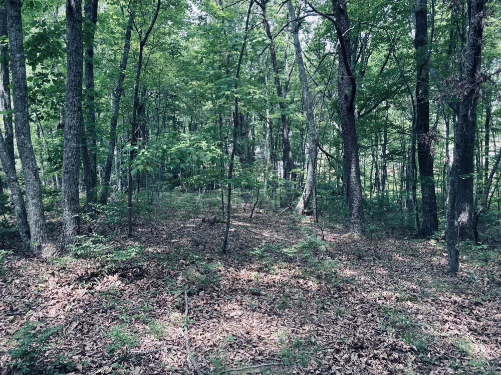 5140 Crockett Jasper, TN 37347