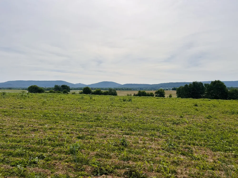235 Breezy Knoll Ln Morrison, TN 37357