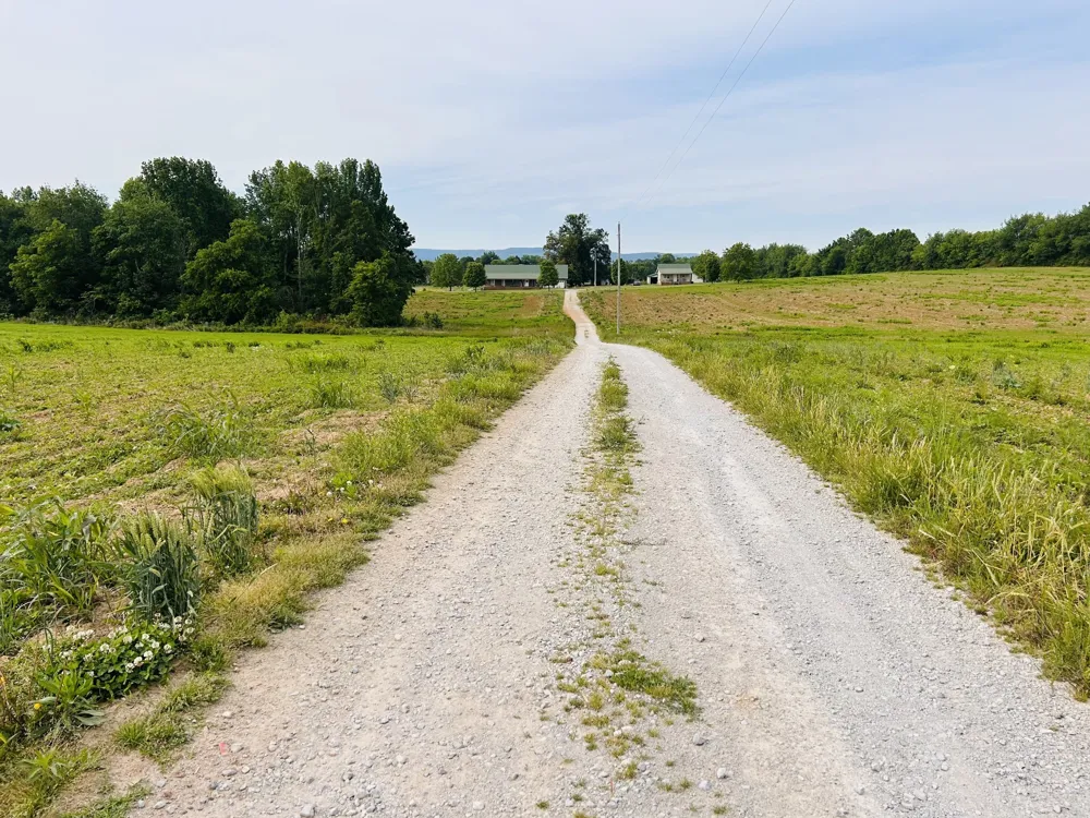 235 Breezy Knoll Ln Morrison, TN 37357