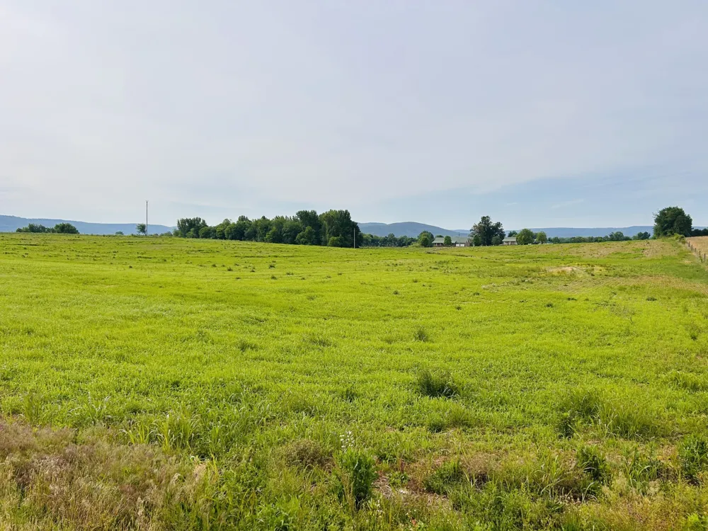 235 Breezy Knoll Ln Morrison, TN 37357