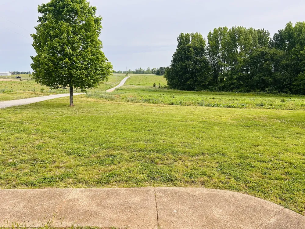 235 Breezy Knoll Ln Morrison, TN 37357