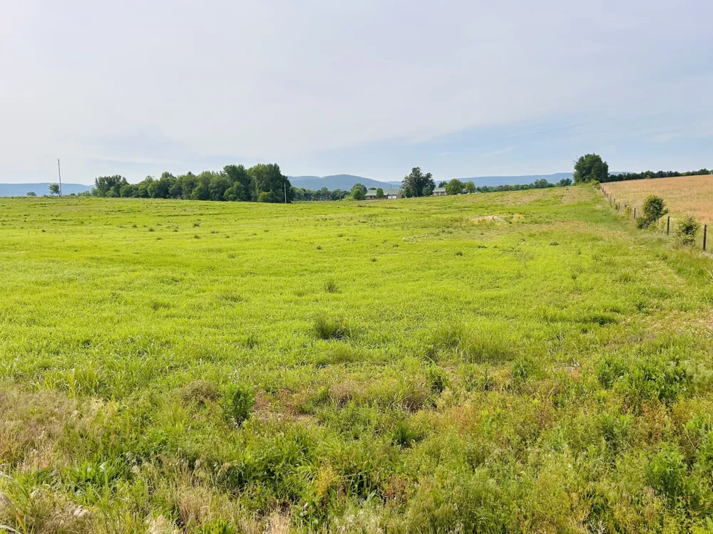 235 Breezy Knoll Ln Morrison, TN 37357