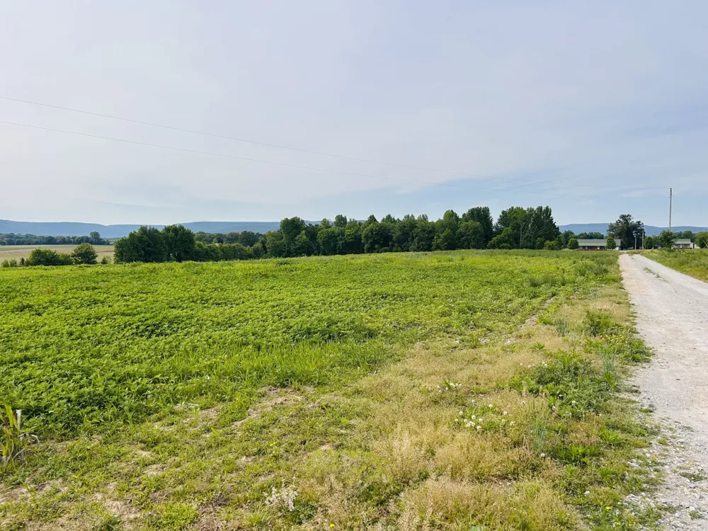 235 Breezy Knoll Ln Morrison, TN 37357