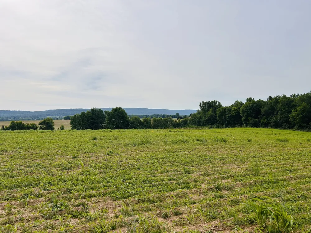 235 Breezy Knoll Ln Morrison, TN 37357