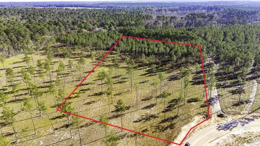 19 Big Buck Drive Moscow, TX 75960