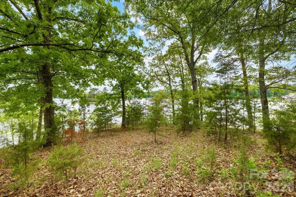 265 S Harbor Watch Drive Statesville, NC 28677