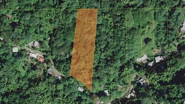 PR-354 KM 6.4 MARINI COMMUNITY - QUEMADO WARD Mayaguez, PR 00680