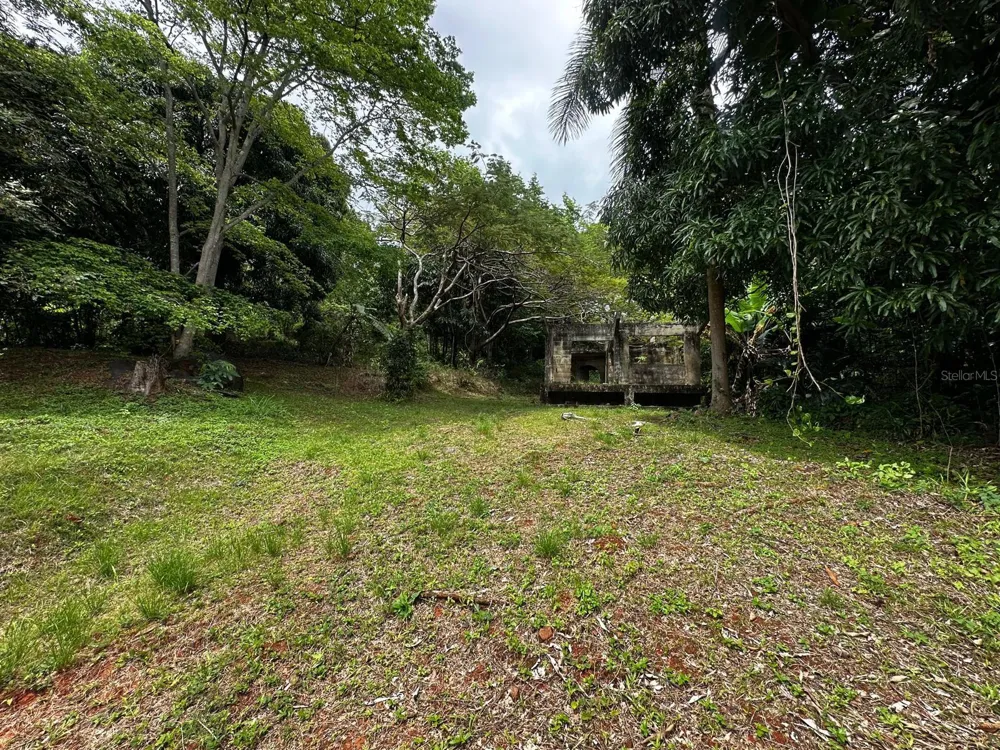 PR-354 KM 6.4 MARINI COMMUNITY - QUEMADO WARD Mayaguez, PR 00680