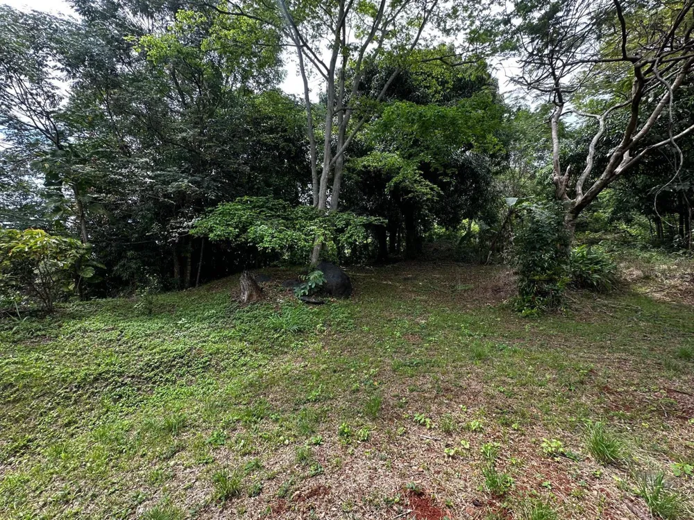 PR-354 KM 6.4 MARINI COMMUNITY - QUEMADO WARD Mayaguez, PR 00680
