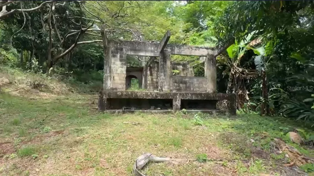 PR-354 KM 6.4 MARINI COMMUNITY - QUEMADO WARD Mayaguez, PR 00680