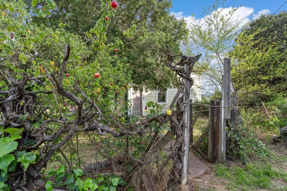 195 Cinnabar Avenue Petaluma, CA 94952