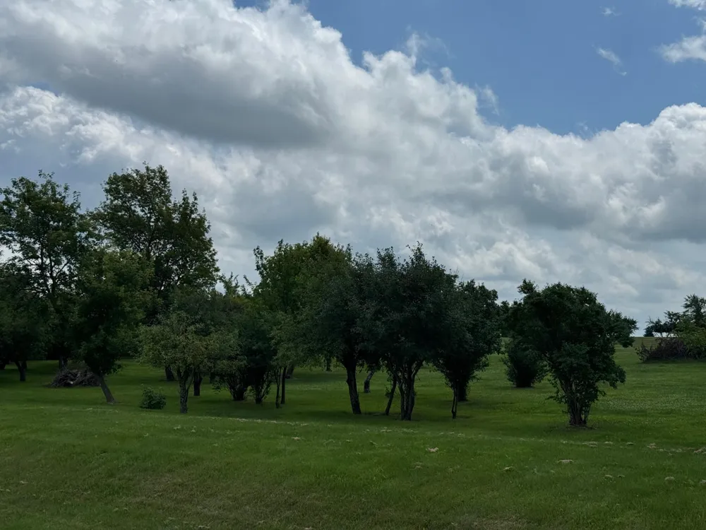 tbd 302nd Avenue Lake City, MN 55041