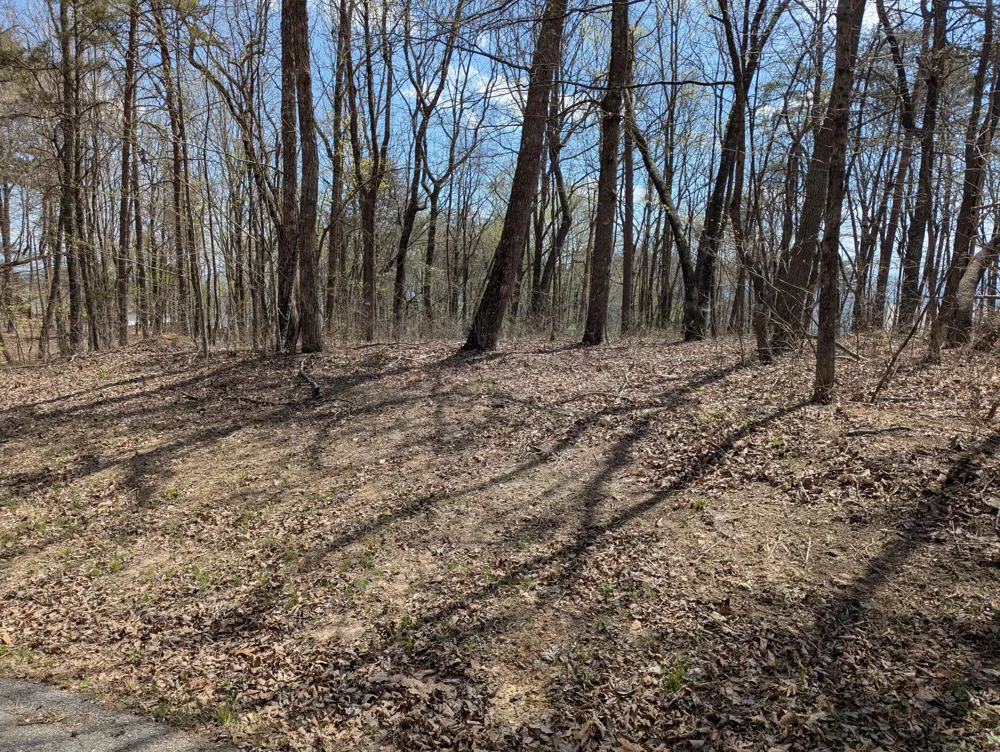 17 Duckwood Lane Evensville, TN 37332