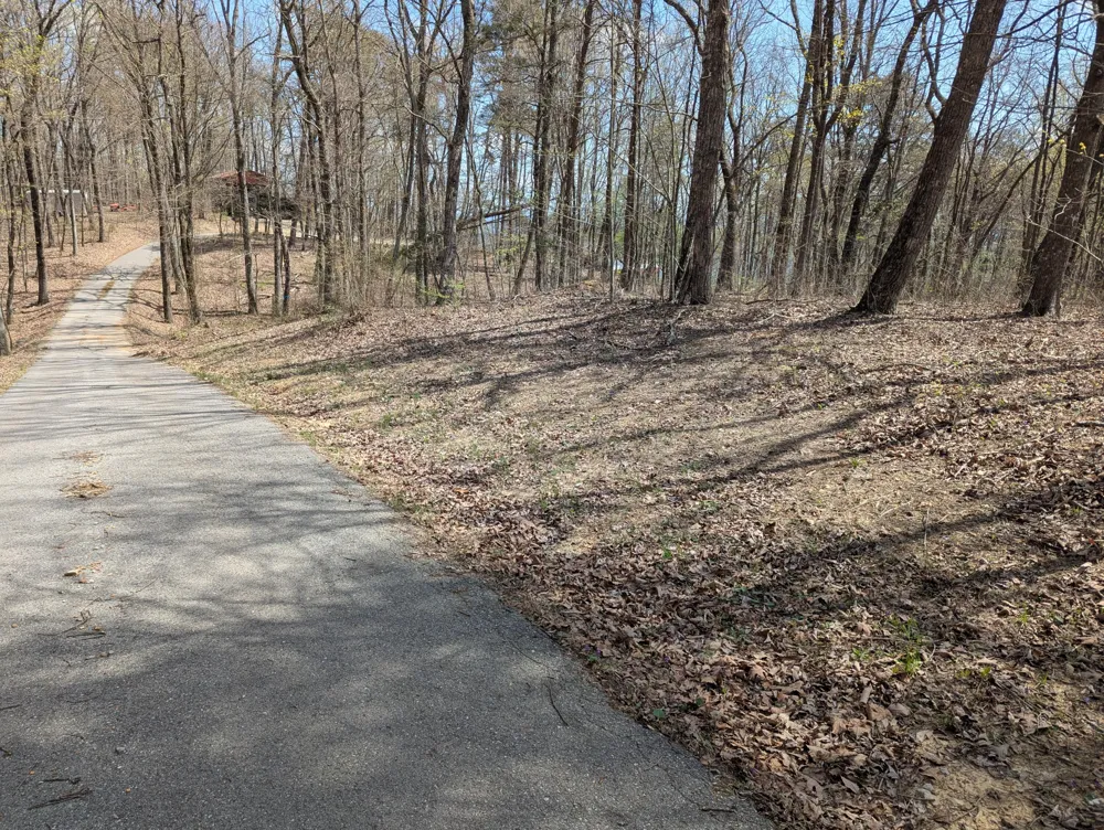 17 Duckwood Lane Evensville, TN 37332